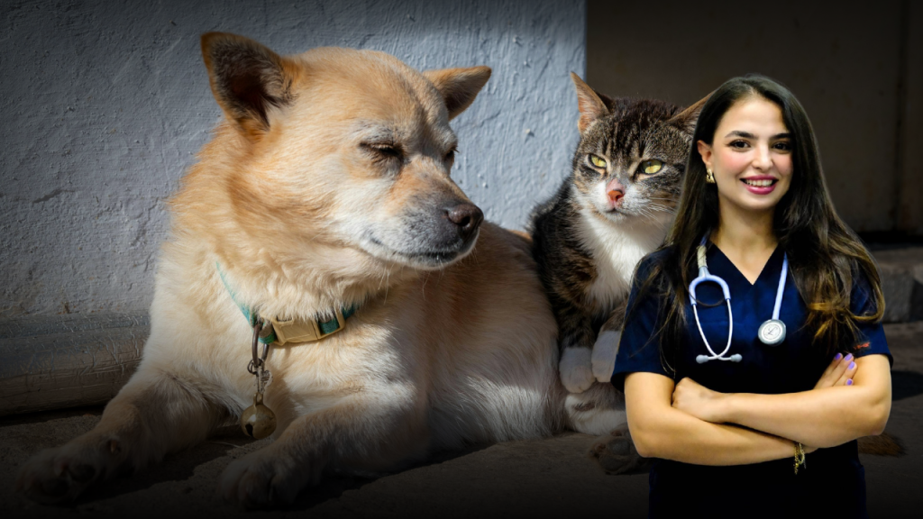 Evcil Hayvanlarda Parazit Kontrolü: Evdeki Riskler ve Koruyucu Hekimlik