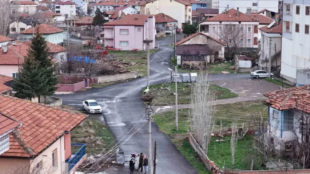 Leylekler Gültekin Mahallesi’ni şenlendiriyor: 10-12 kuşla bahar haberleri