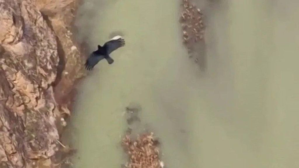 Sivas’ta Doğa Koruma Ekipleri Yaban Hayatı İzlemede