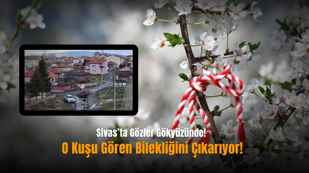 Sivas’ta Marteniçka Zamanı: Leylek Nöbeti ve Baharın Sinyalleri
