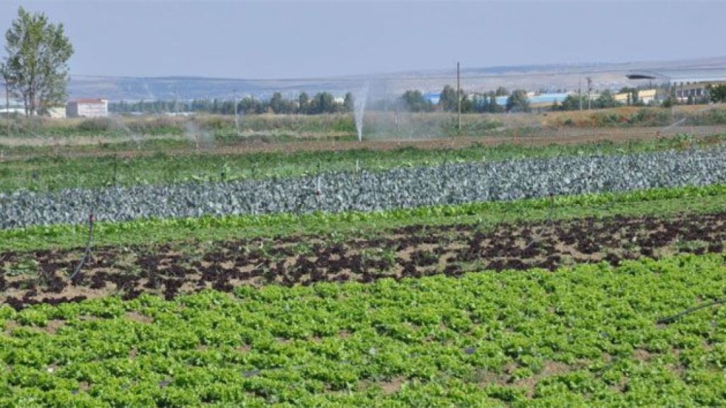 TÜİK açıkladı: Tarımsal girdi fiyatları 2026 başında yükseldi