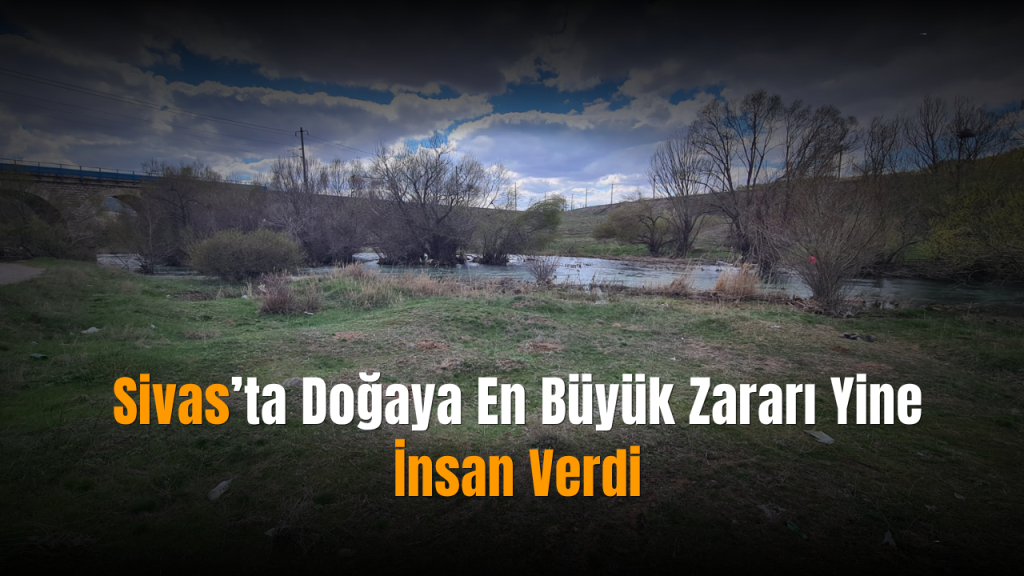 Doğal Alanlarda Atık Sorunu ve Önlemler: Kangal Çetinkaya Köyü Örneği