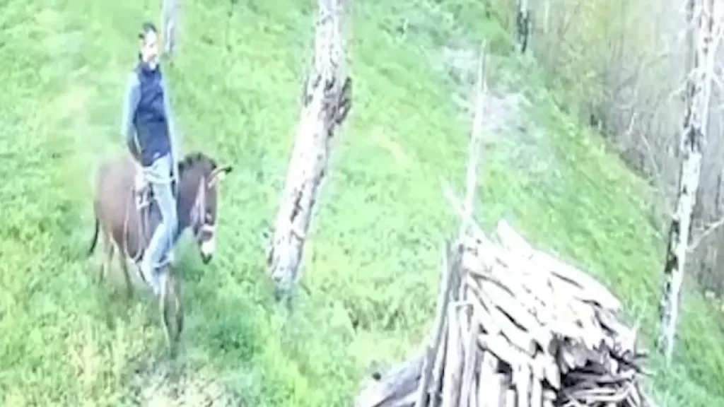 Eşeğin Şahlanmasıyla Yaşanan Kaza: Sahibini Zarar Görmeden Kurtuldu