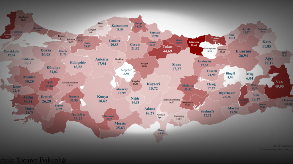 Kadın İstihdamı İhracatta Kilit Sırları: İllere Göre Detaylı Analiz