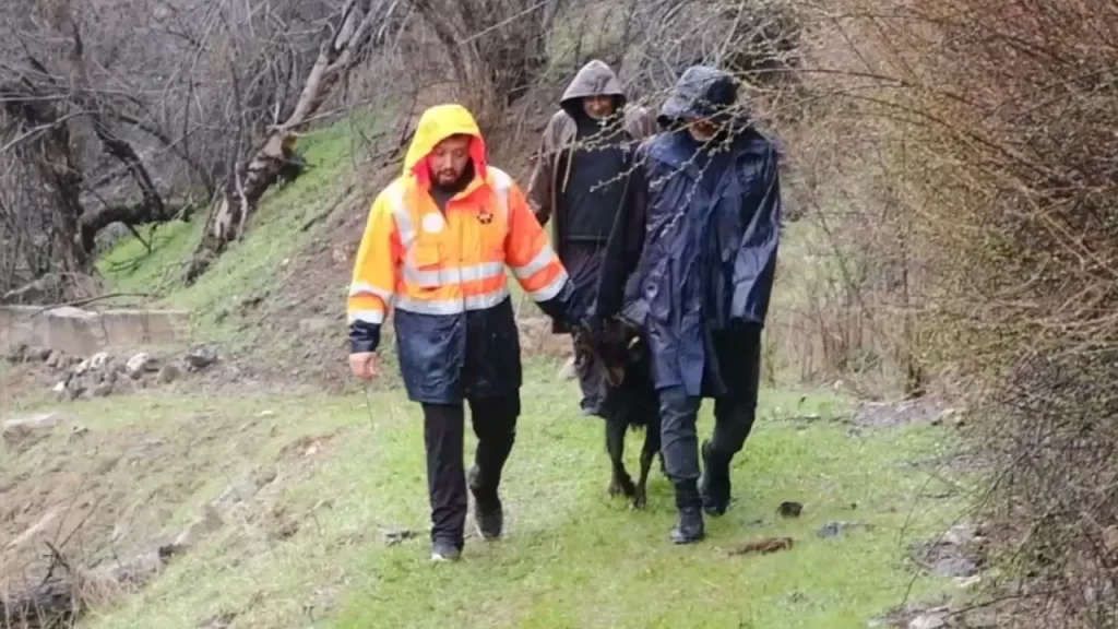 Kayalıkta mahsur kalan gebe keçi kurtarıldı: İtfaiye ekipleri müdahalesi
