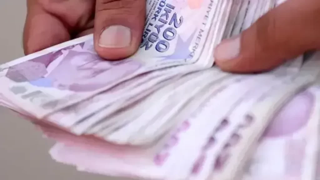 Kırsal Kalkınmaya Yönelik Yatırım Desteği Başvuruları Başladı