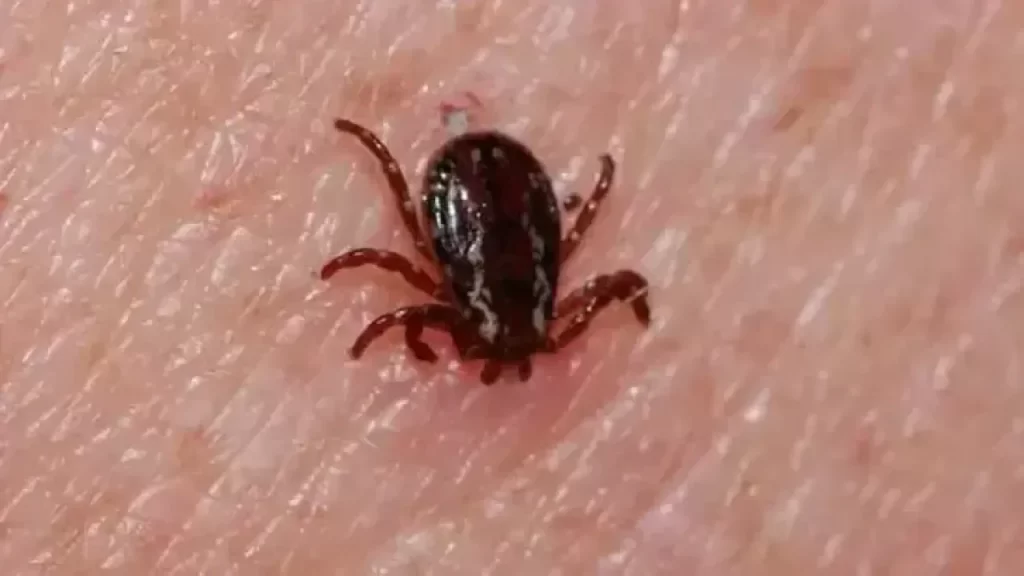 KKKA vakasında trajik değişim: Genç çiftçinin yaşam mücadelesi sürüyor