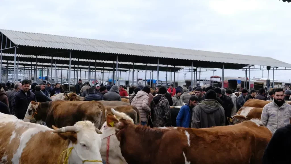 Kurban Hizmetleri Komisyonu ile sahada yeni denetim ve randevu sistemi