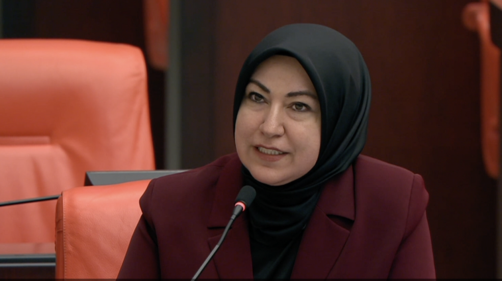 Rukiye Toy: Şehitler Haftasında TBMM’de anlamlı konuşma