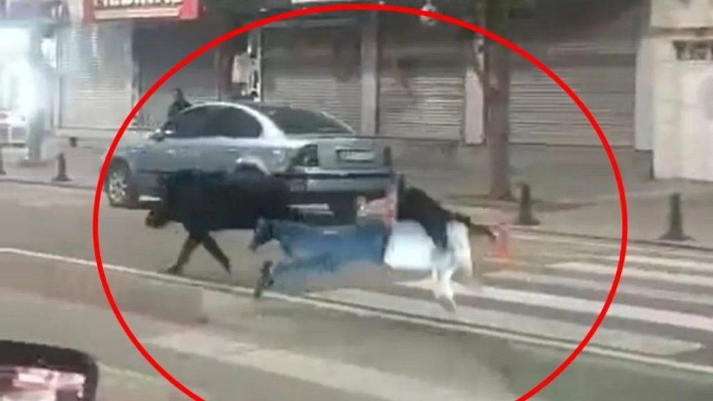 Şehir merkezinde yaban domuzu saldırısı: 3 yaralı ve olay anı kamerada