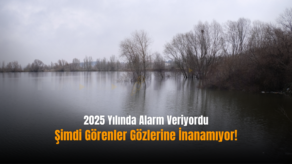 Serpincik Göleti yeniden canlandı: yağışla yükselen su ve çevre sorunu