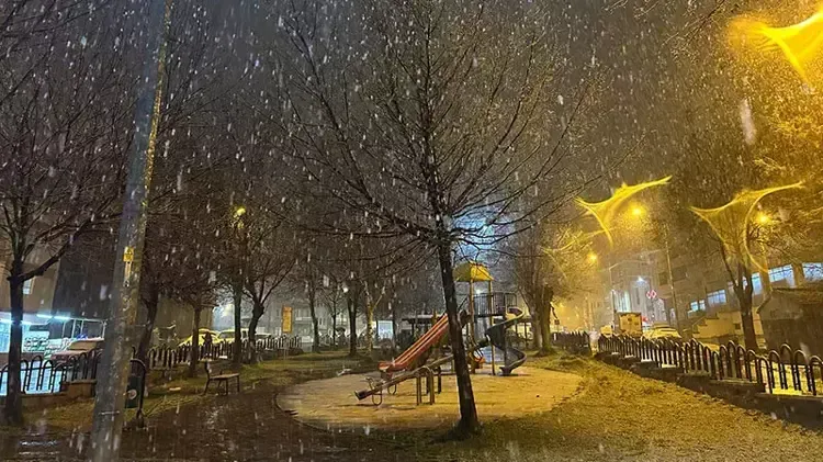 Sivas’taki Dijital Trendler: Spor ve Sınav Odaklı Yoğun Aramalar