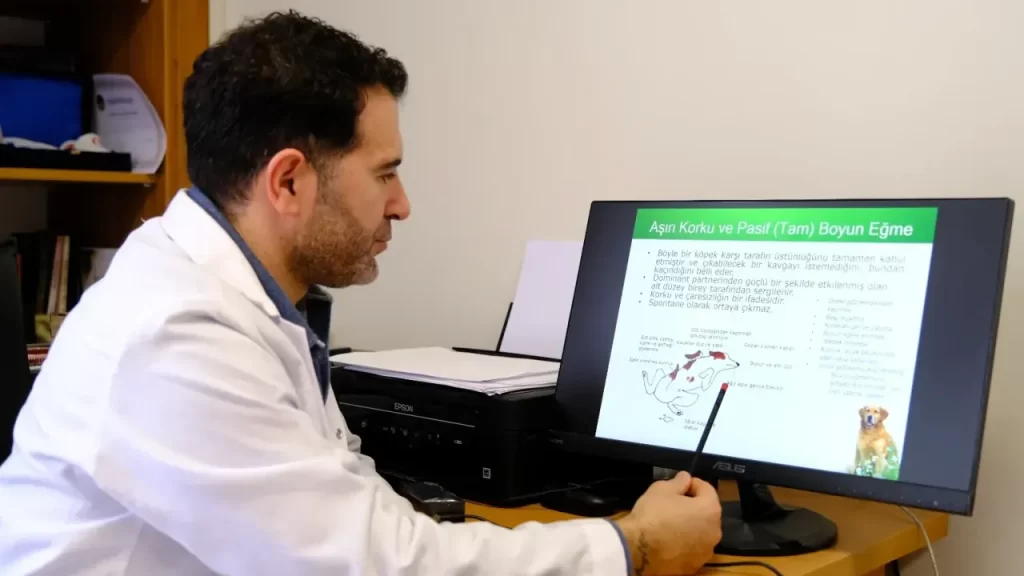 Sokak Hayvanlarına Yönelik Bilinç ve Sağınlık Vurgusu