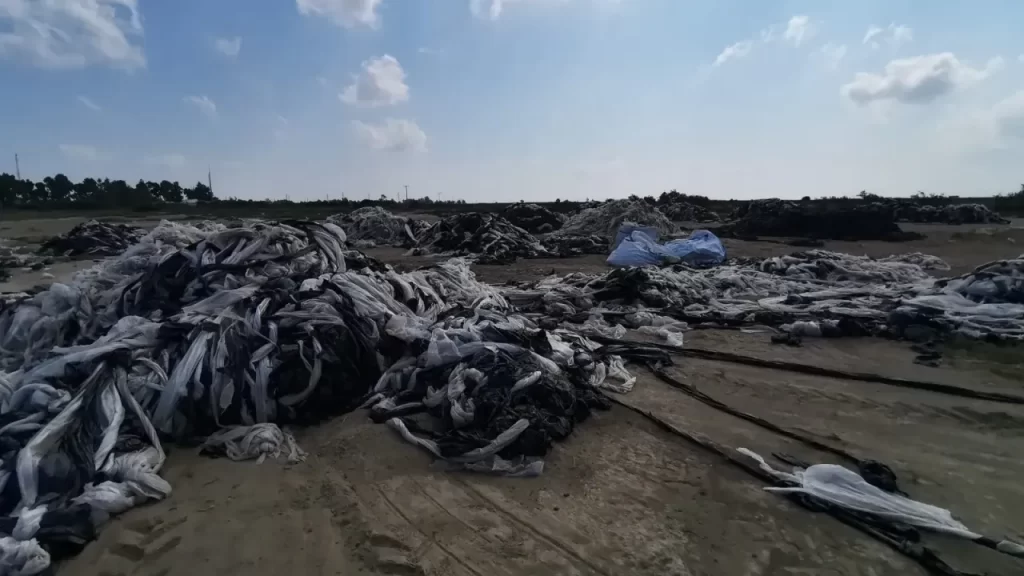 Türkiye’de Tek Kullanımlık Plastiklere Yeni Zamanlayıcı Regülasyon