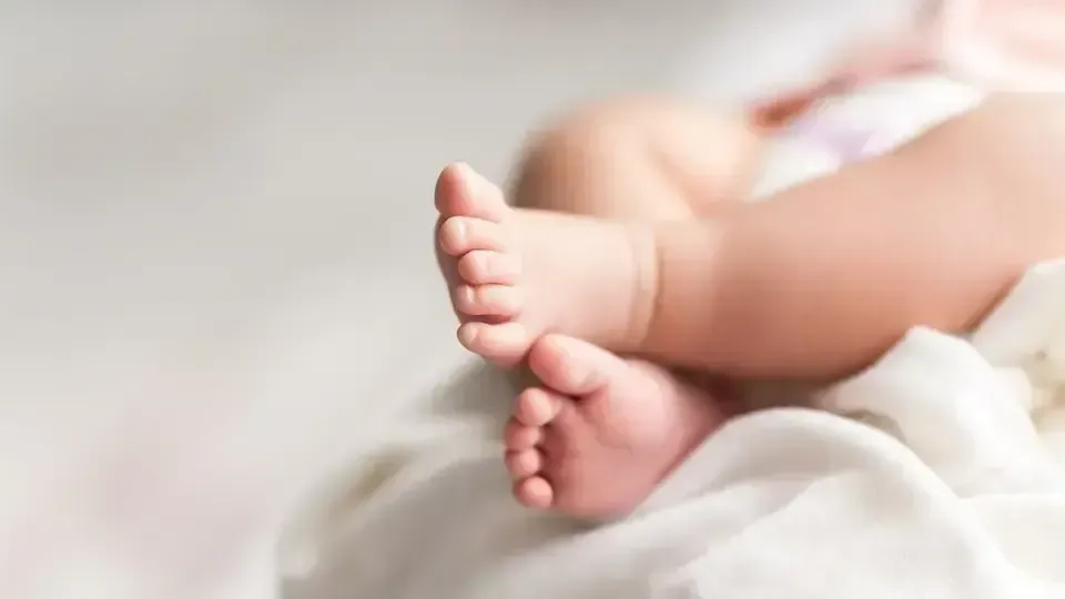 Aile Teşvik Programı Kumru’da Ailelere Destek İçin Yayımlandı