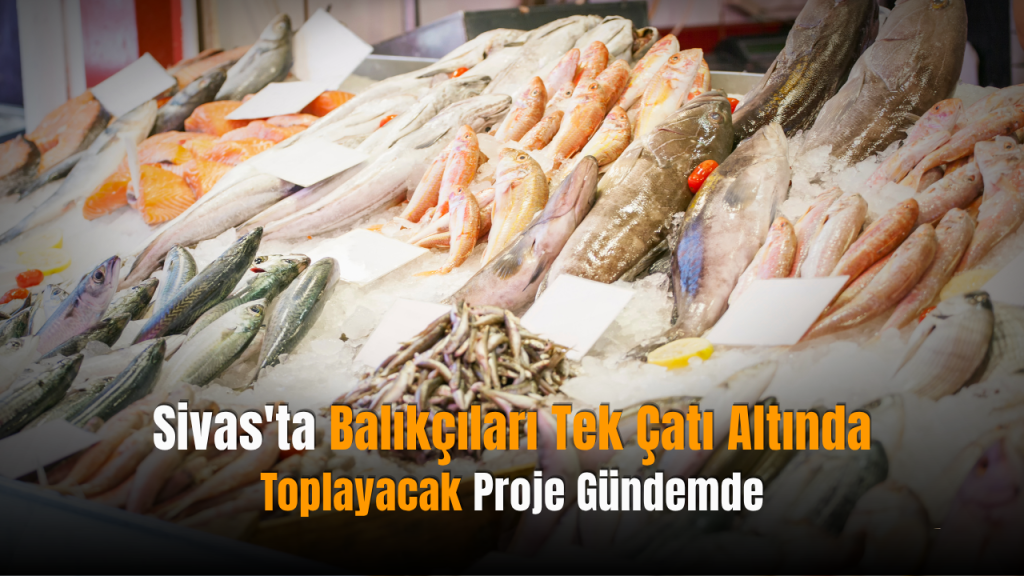 Balık Hali Projesiyle Sivas’ta Yeni Ticari Hareketlilik Bekleniyor
