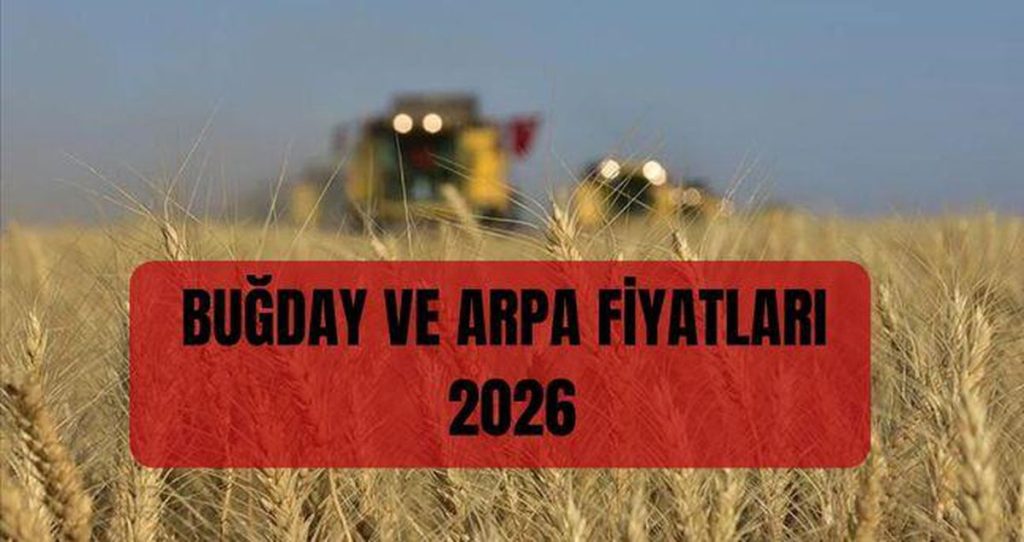 BUĞDAY ALIM FİYATLARI 2026: TAKVİME GÖRE AÇIKLANACAK HABERLER