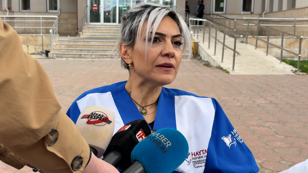 Çubukçu: Hayvanların yaşam ve sahiplendirme hakları sistematik olarak kısıtlanıyor