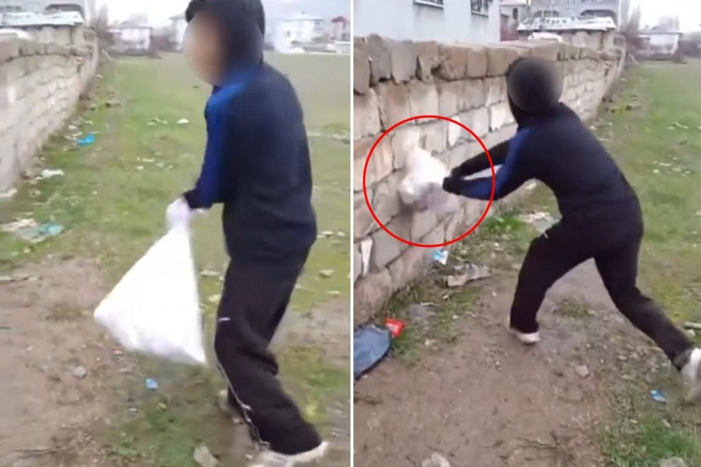Görüntülerdeki çocuklar ve tepkiler üzerine gelişmeler
