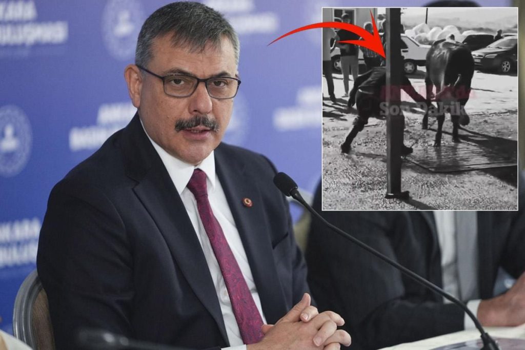 İçerikteki hayvan yönetimi skandalı hızlı tepkiyle gündemde