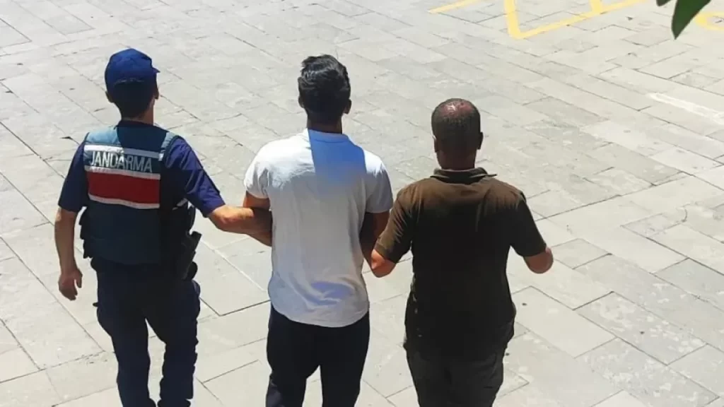 Kahramanmaraş orman yangını: 92 hektar kül olurken 43,75 milyon lira zarar