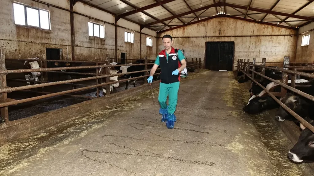 Keneyle Mücadelede Yeni Bilgilendirme ve İlçe Uygulamaları