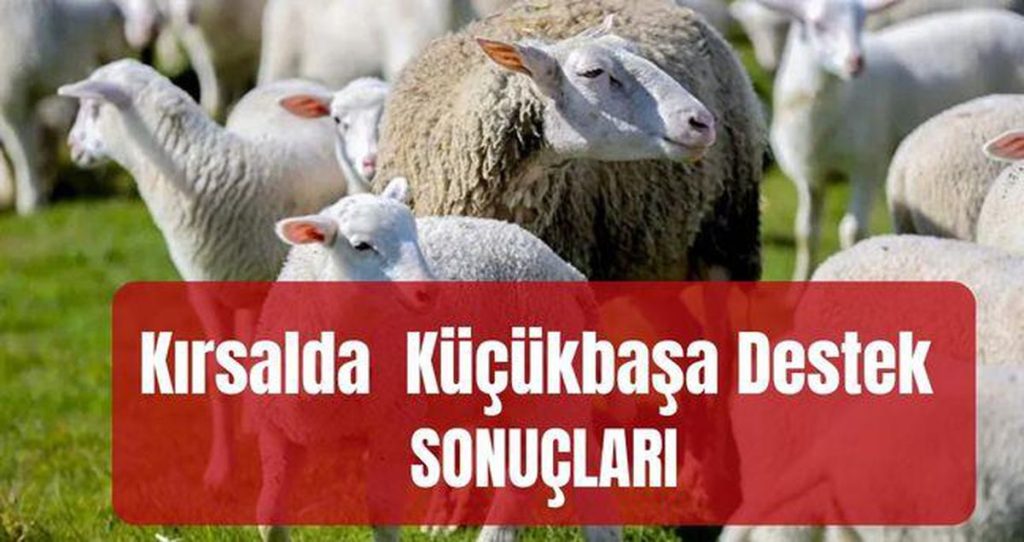 Kırsalda Bereket Projesi Sonuçları ve Destek Paketi Ayrıntıları