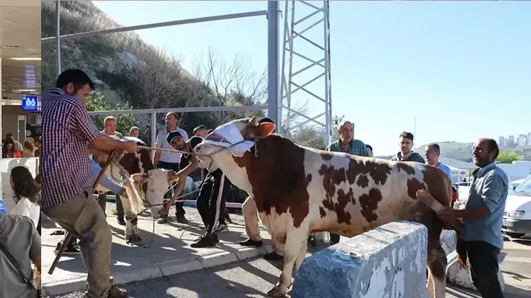 Kurban Bayramı Takvimi Netleşiyor: Uzun Tatil Fırsatı ve Arefe Detayları