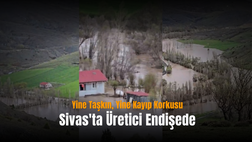 Sivas’ta Yoğun Yağışlar Köyleri Etkileyerek Tarımsal Zarar Endişesi Yarattı