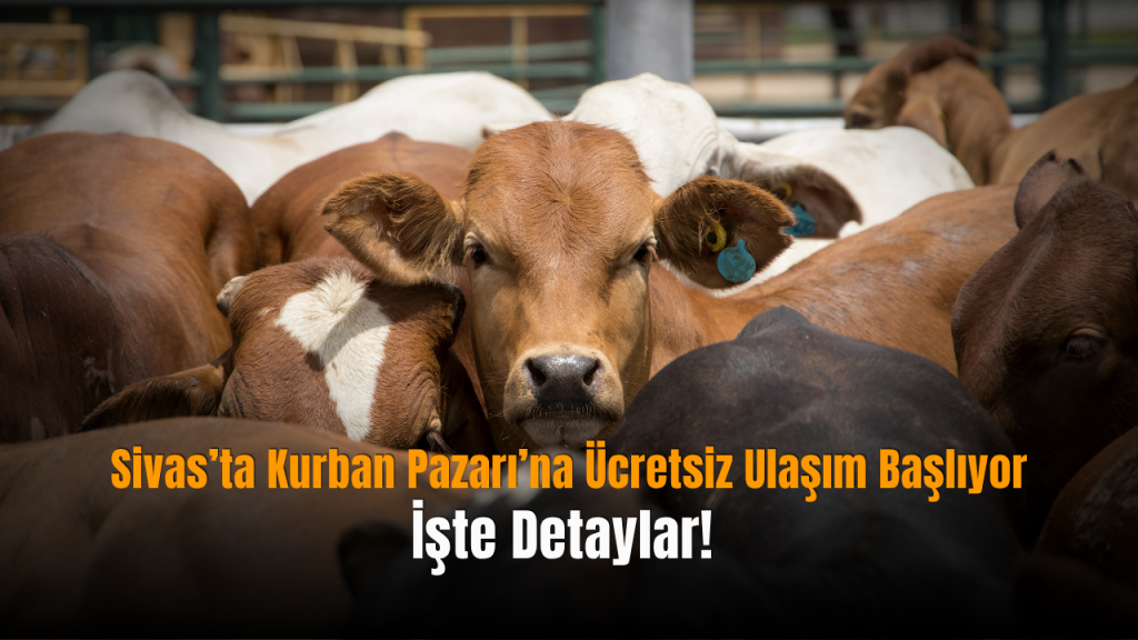 Ücretsiz Otobüs Seferleriyle Kurban Pazarı Ulaşımı Kolaylaşıyor