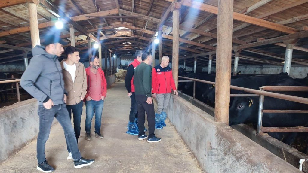 Uzuntepe’de Hayvancılık İncelemesi: Müdürden Teknik Bilgiler