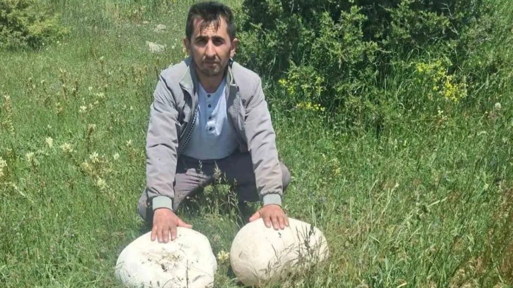 Dev Mantara Dair Köyde Heyecan Yaratan Keşif
