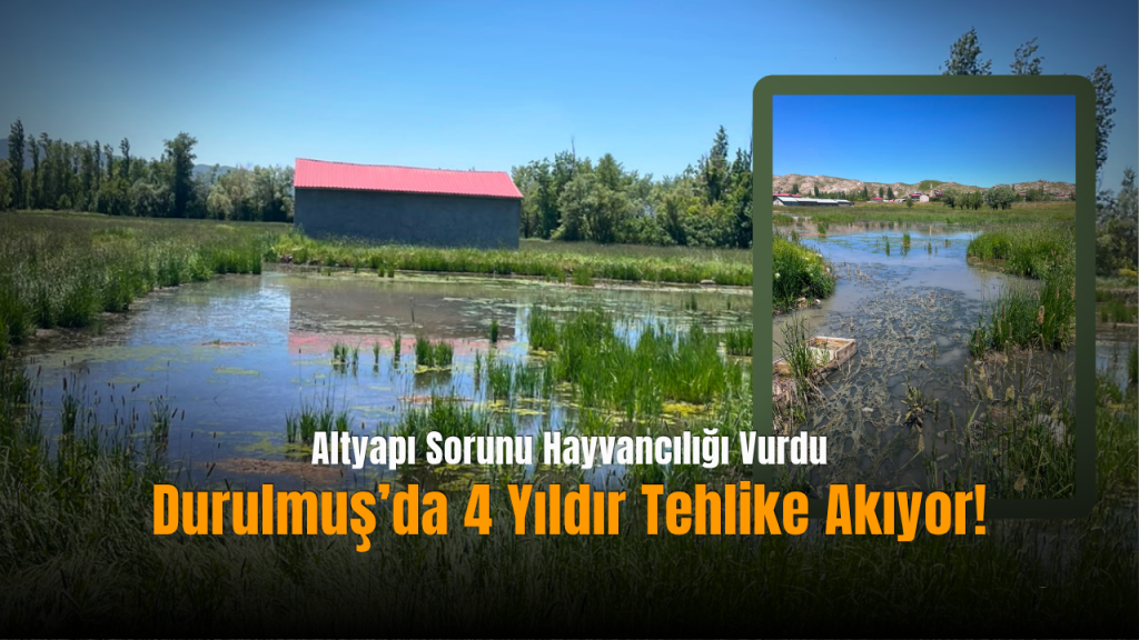 Durulmuş köyünde foseptik krizi: Hayvancılık ve tarımı tehdit eden sızıntılar