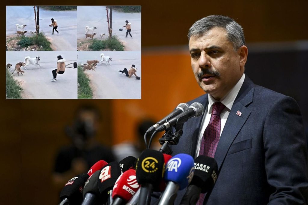 Erzurum Modeliyle Sokak Hayvanlarında Barınak Odaklı Politikalar