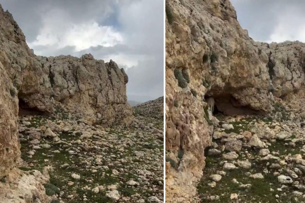 Kangal Köpeği Koruyuculuğunda Kaybolan Keçiler 3 Gün Sonra Bulundu