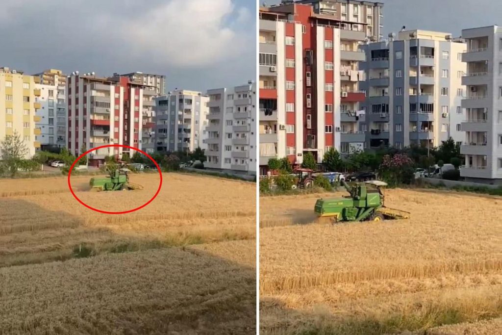 Mahalledeki 10 Dönümlük Arazide Toprak Seçimi: İnsanlık ve Toprak Bağını Koruyan Haber