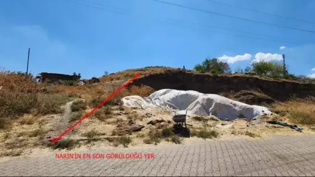 Narin Güran Cinayetiyle İlgi 4 Sanığın Dosyada Devam Eden Yargı Süreci