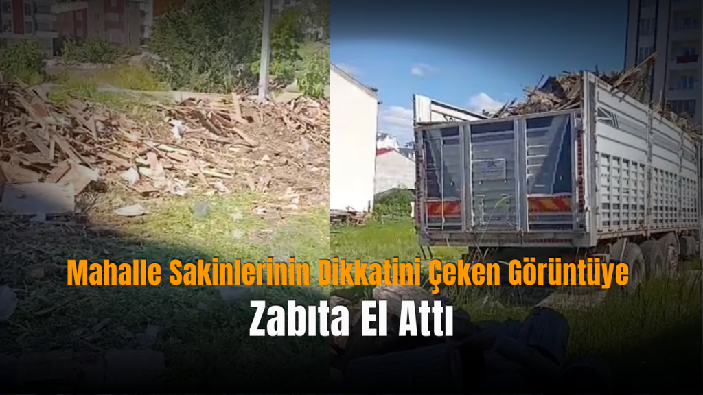 Odun Dağıtımı Şehrin Çevre Düzeni İçin Uyarı Verdi