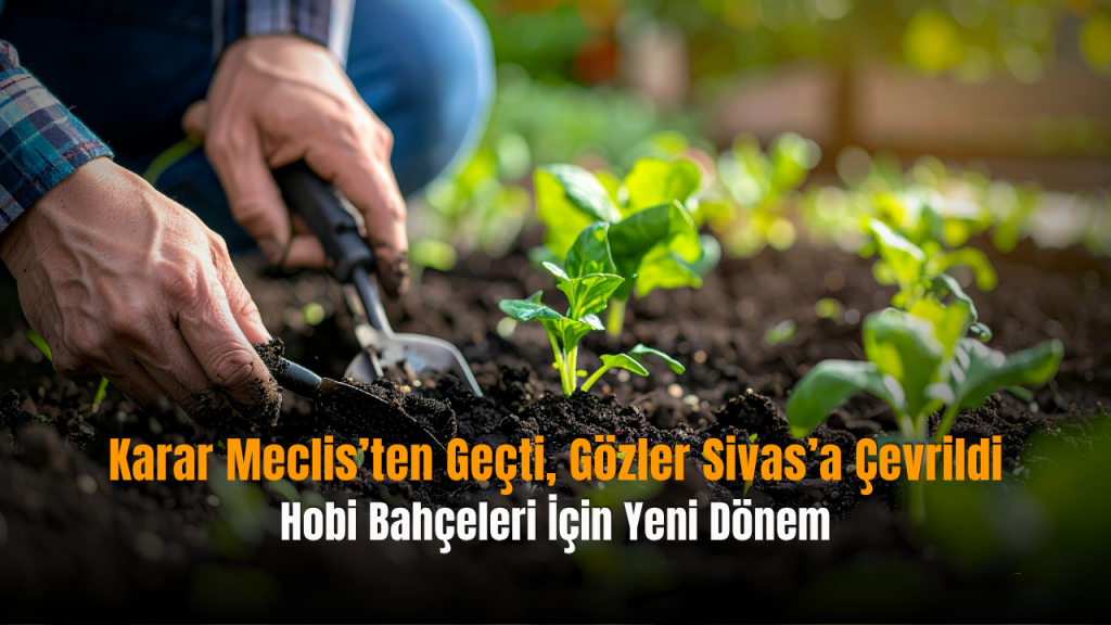 Sivas’ta hobi bahçesi düzenlemesi meclisten geçti: Araziler korunacak