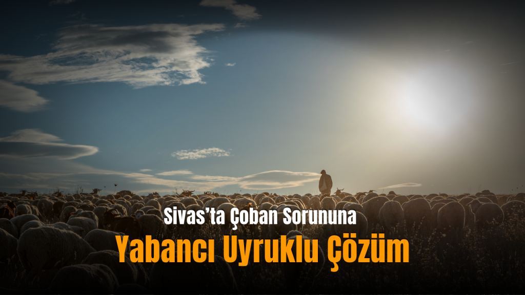 Sivas’ta yabancı çobanlar sayesinde koyun-keçi yetiştiriciliğinde nefes alınması bekleniyor