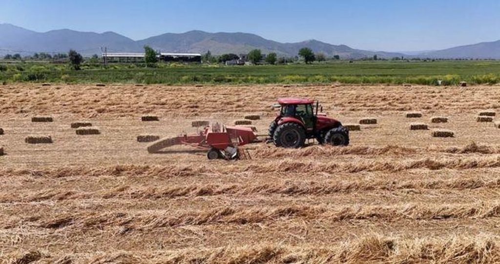 TMO 2026 Hububat Fiyatları: Alım-Satım Dengesi ve Destekler