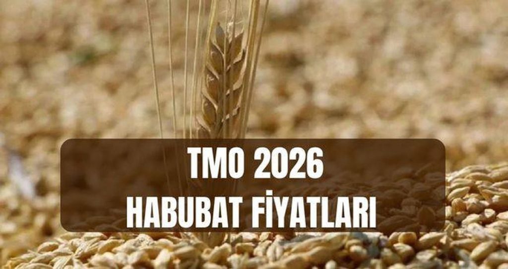 TMO 2026 Hububat Fiyatları ve Desteklerle Üretici Geliri Artıyor