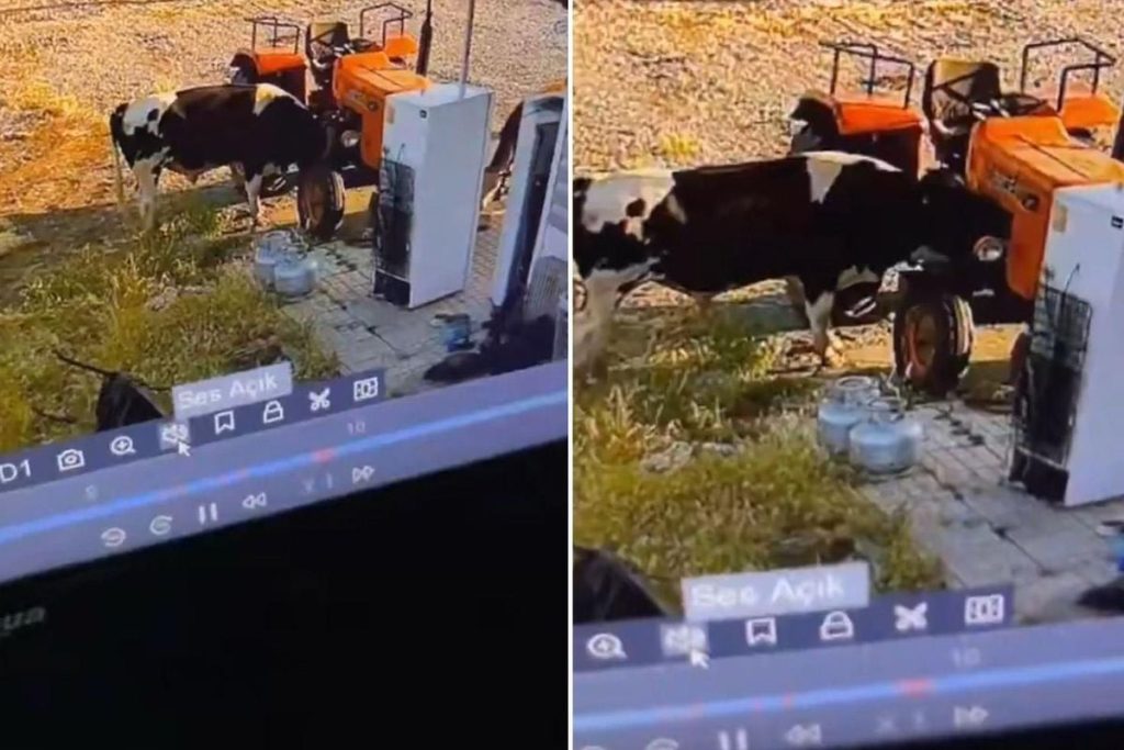 Traktörün Kontakla Aniden Çalışmasıyla Yaşanan Şok Anlar