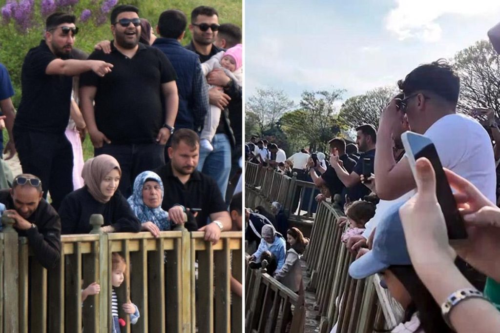 Van Gölü İnci Kefali Göçü: Doğal Şovu Sürüyor