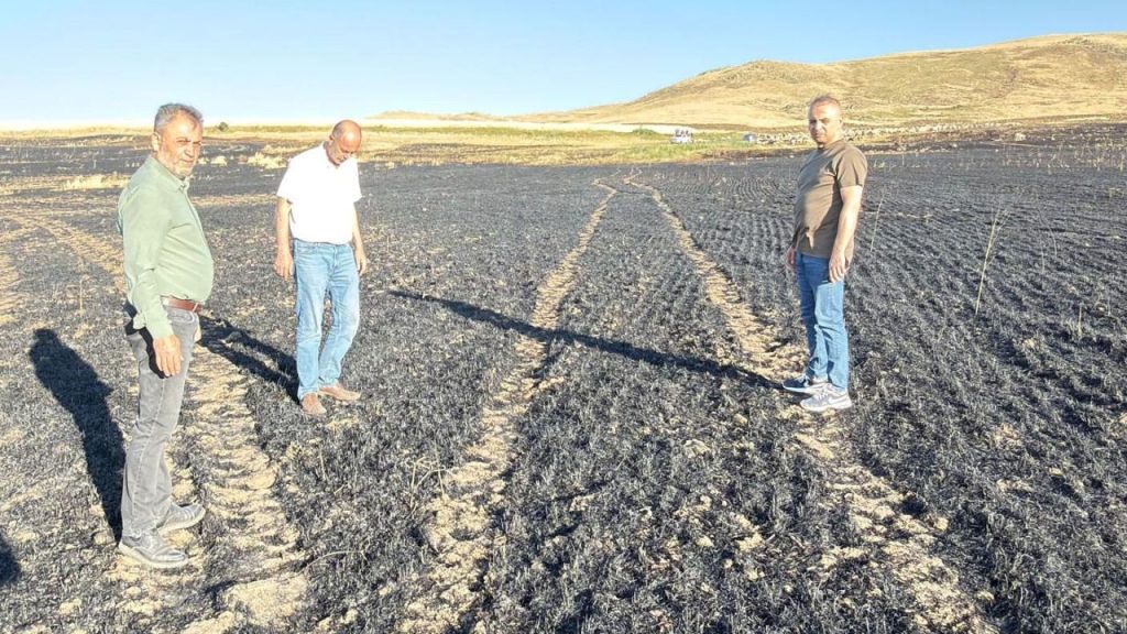 Arpa Tarlasındaki Yangın Şiddetli Dumanla Bitti