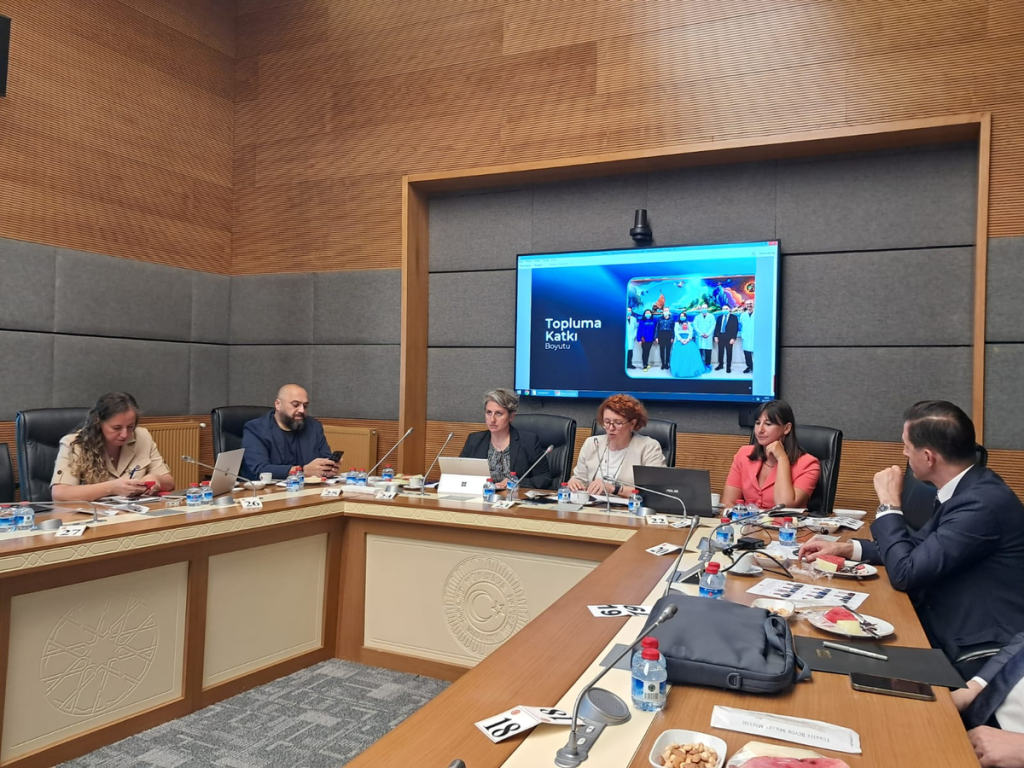 Dijital Platformlar Çocuk Güvenliği İçin Yaş Sınıflandırması ve Ebeveyn Kontrolünü Vurguluyor