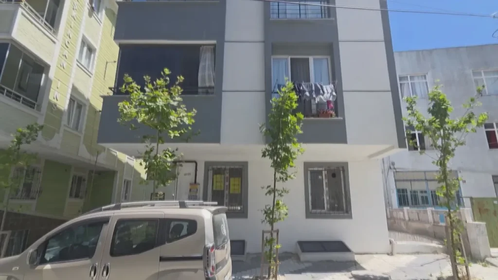 İstanbul’daki çekirgeler şehrin dört bir yanında endişe yarattı