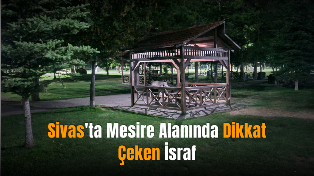 Paşabahçe Mesire Alanı’nda Işıklar Tartışması: Enerji Tasarrufu İçin Uyarı