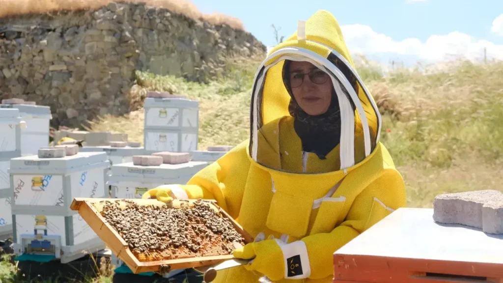 Şarkışla’da Arıcılıkta Yeni Nesil Başarı Hikayesi