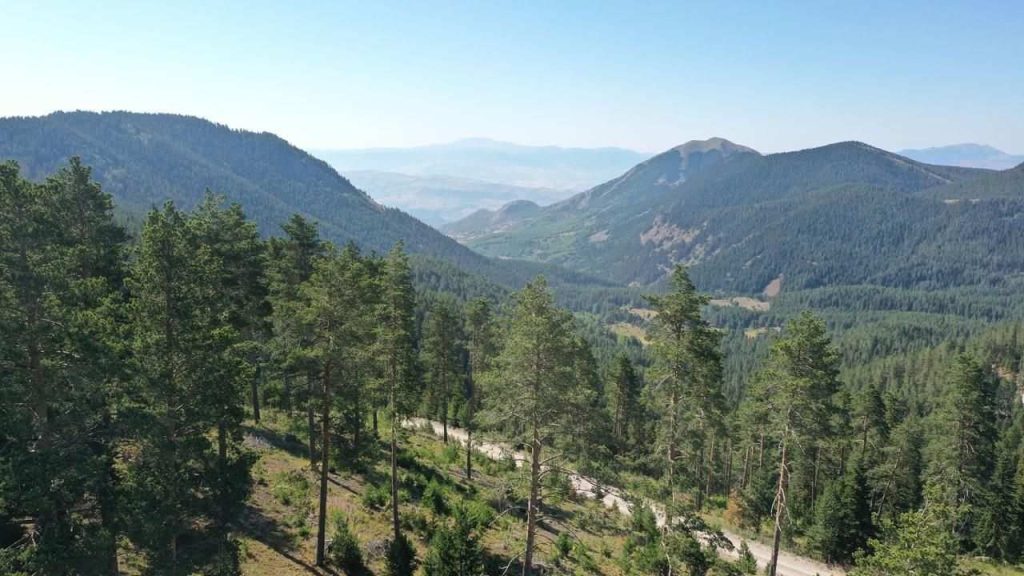 Sivas’ta Orman Yangını Önleme Tedbirleri Geçerli (28 Temmuz-15 Ekim)